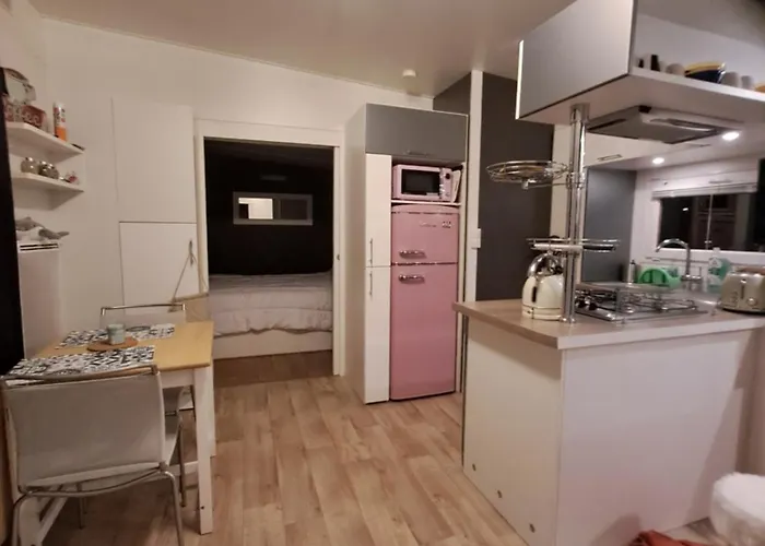 营地 Mobil Confort Landes 38m2 *